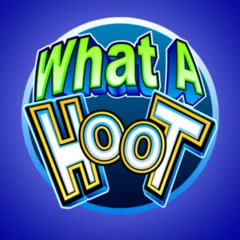 What A Hoot - STORYBET138
