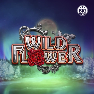 Bigtime : Wild Flower - STORYBET138