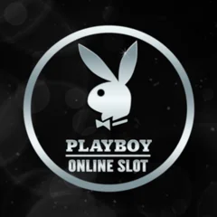 Playboy - STORYBET138